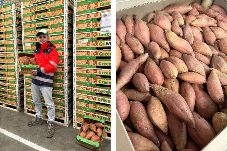 Marktupdate: Zoete aardappel