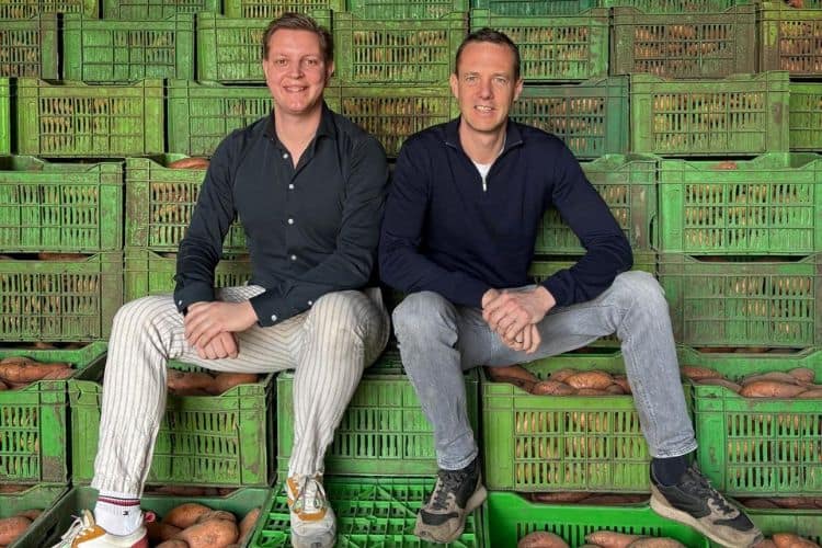 De Egyptische oogst van dichtbij bekeken